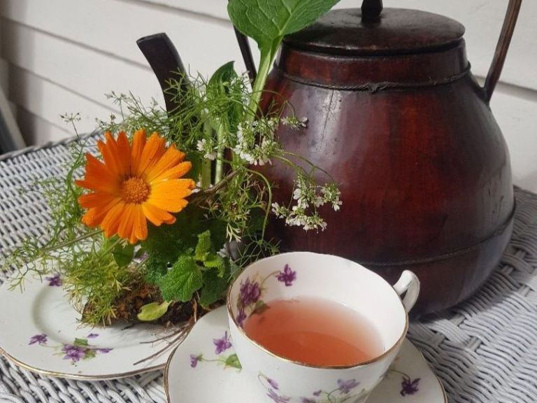 Medicinal Herbal Teas – just a cupful of herbs