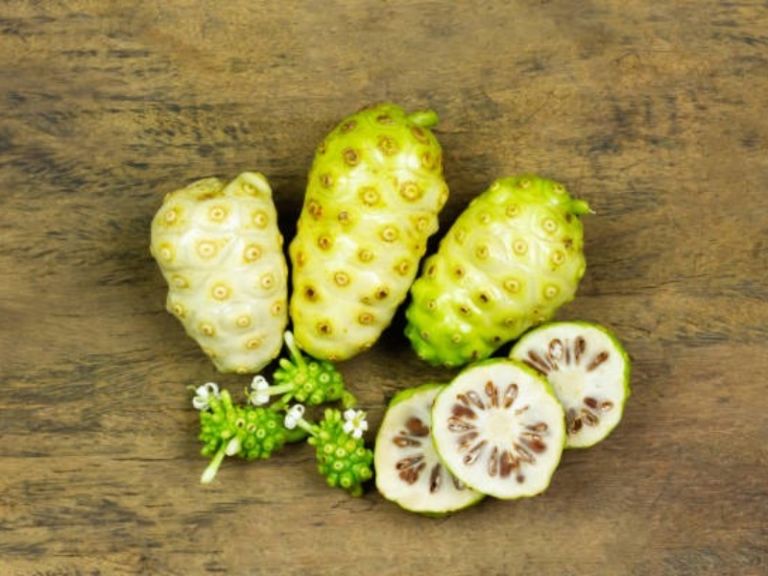 Noni – Fruit of the Pacific