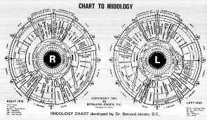 Iridology – The Window to your Body, Mind & Soul