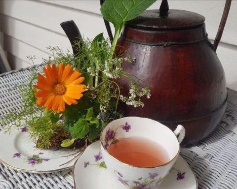 Medicinal Herbal Teas – just a cupful of herbs