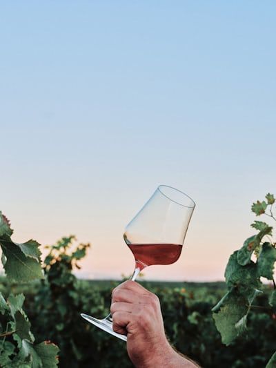 Wine – Heart Tonic or Toxic Tipple?