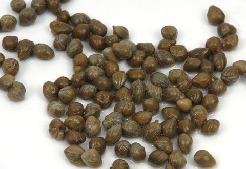 Fun With Capers
