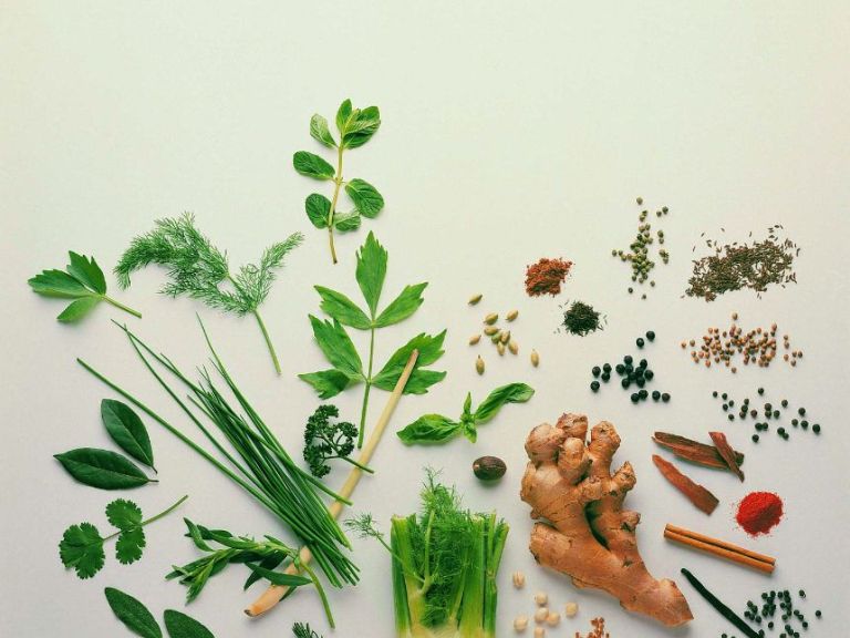 Herbs for Flavour
