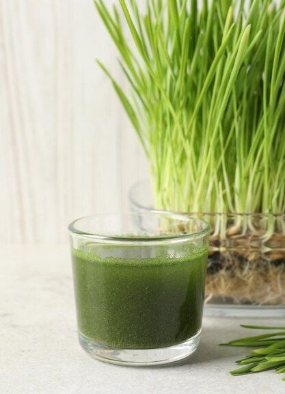 Wheatgrass - Nature’s Finest Medicine